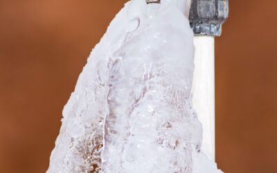 Tips To Prevent Your Pipes From Freezing